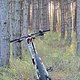 Sonntagsausfahrt &quot; Goldener Herbst&quot;