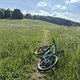 IMG 1601