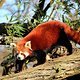 IMG 0221