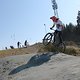 IMG 8810