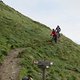 Dolomiten Cross 6