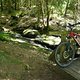 2008.06.0111.47.08MTBVenn 1217918012