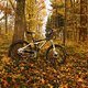 Herbst2K10Bild126