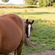 Urlaub Tierleben -6050
