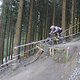 IMG 0008