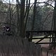 IMG 1354
