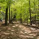 20160505-IMG 5381