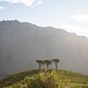 scott-sports-actionimage-a-dogs-life-episode-3-south-africa-brendan-fairclough-photo-by-jacob-gibbins-DG SA D1 P2-8032013-web