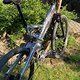 Mountain Cycle San Andreas - 10kg Version - IMG 6957