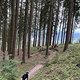 IMG 3685