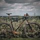 SingleBe - NoisyBee - Custom 29er