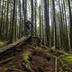 BC Squamish - Cortes Planks