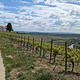 IMG-20250516-WA0015