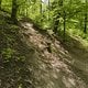 Gratis Wurzeltrail