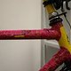 IMG 3257