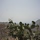 i00792