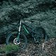 Canyon Torque DHX Whipzone