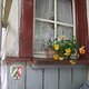 DSCF6457