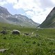 DSC01093