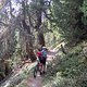 IMG 0699