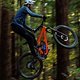 Ibis Cycles HD6 Riding (64)