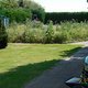 RettetdieBienenBlühblumenWiese