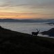 IMG 5424
