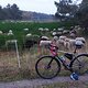 Gravel ride