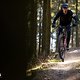 Schwalbe Clik Valve Specialized Stumpjumper 2025 PSturm-5