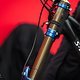 Specialized-Iles-Bruni-Williams-3839
