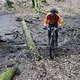 120310 Wozu Bruecke1
