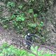 IMG 1471
