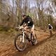 Mega-Bike-Marathon Sundern