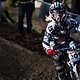 IMG 0803