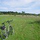 Sommerrevier0022
