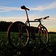 Rocky in der Abendsonne