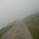 uphill nebel2