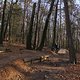IMG 1814