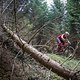 Theresia Schwenk war am Ende schnellste Frau der TT im Erzgebirge.