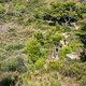 20211019-02L Golfo Dianese