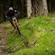 YT-Tues-Test-37831