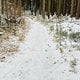 Winterpokal-Aktivität