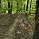 Gratis Wurzeltrail
