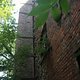 IMG 9291