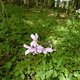 130509 Eltzbachtal25