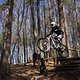 Bike Beerfelden P 305