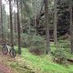 IMG 0392