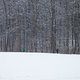 IMG 2649