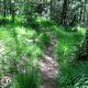 IMG 6919