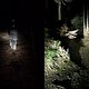 zaskar night trails